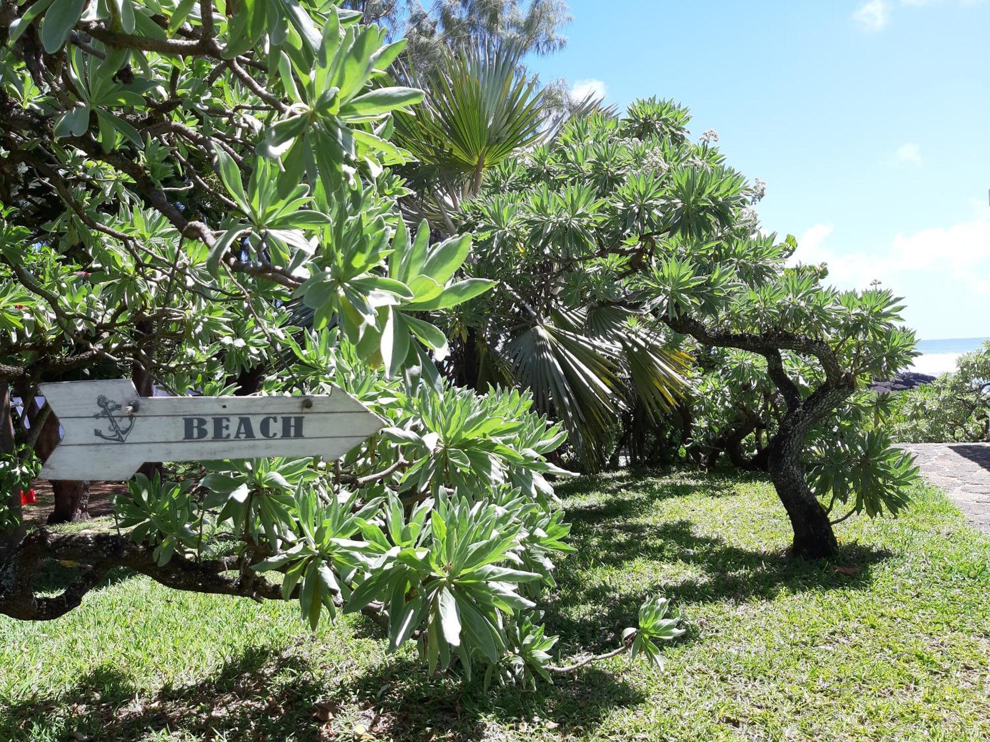 Villa Las Brisas Roches Noires Exteriör bild